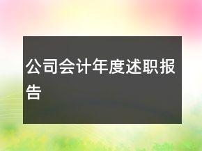 公司會計年度述職報告