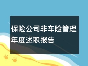 保險公司非車險管理年度述職報告