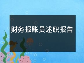財務(wù)報賬員述職報告