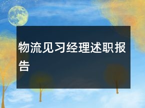 物流見(jiàn)習(xí)經(jīng)理述職報(bào)告