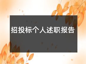 招投標(biāo)個(gè)人述職報(bào)告