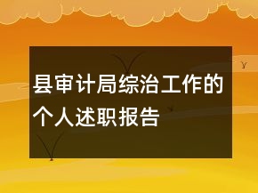 縣審計(jì)局綜治工作的個(gè)人述職報(bào)告