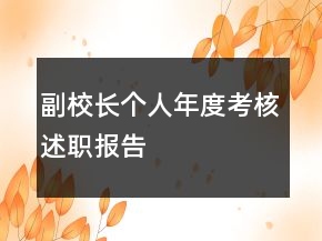 副校長個人年度考核述職報告