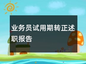 業(yè)務員試用期轉正述職報告