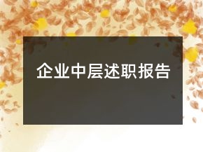 企業(yè)中層述職報(bào)告