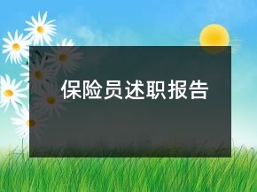 保險員述職報告