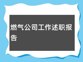 燃?xì)夤竟ぷ魇雎殘?bào)告