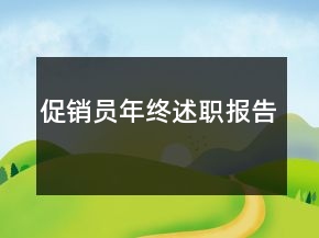 促銷(xiāo)員年終述職報(bào)告
