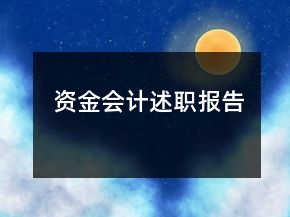 資金會(huì)計(jì)述職報(bào)告