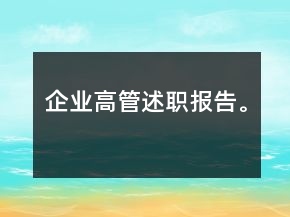 企業(yè)高管述職報告。