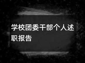學校團委干部個人述職報告