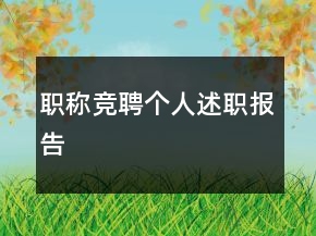 職稱競聘個人述職報告