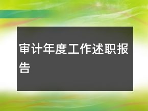 審計(jì)年度工作述職報(bào)告