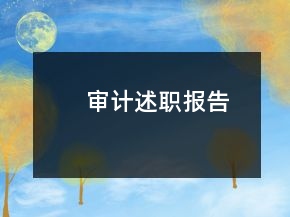 審計(jì)述職報(bào)告