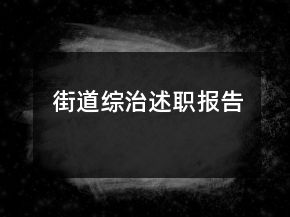 街道綜治述職報告