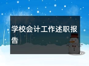 學(xué)校會計(jì)工作述職報告