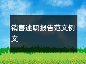 銷售述職報告范文例文
