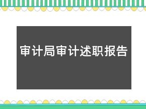 審計局審計述職報告