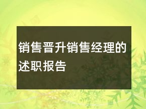 銷售晉升銷售經理的述職報告