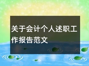 關(guān)于會計個人述職工作報告范文
