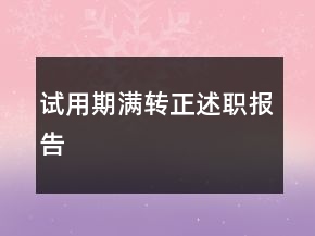 試用期滿轉正述職報告