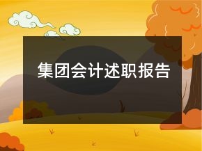 集團會計述職報告