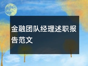 金融團(tuán)隊經(jīng)理述職報告范文