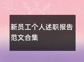 新員工個人述職報(bào)告范文合集