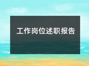 工作崗位述職報告