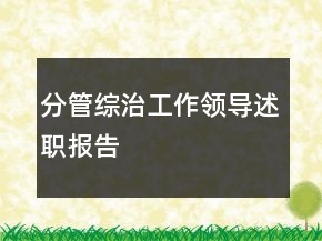 分管綜治工作領(lǐng)導述職報告