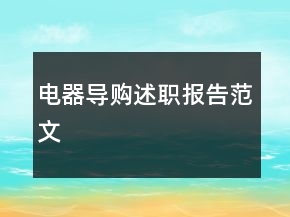 電器導購述職報告范文