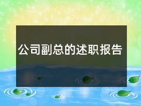 公司副總的述職報(bào)告