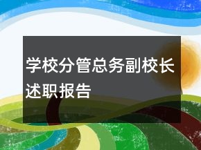 學(xué)校分管總務(wù)副校長(zhǎng)述職報(bào)告