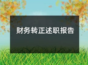 財務(wù)轉(zhuǎn)正述職報告
