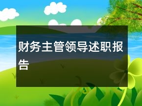 財務主管領導述職報告