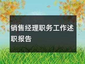 銷售經(jīng)理職務(wù)工作述職報告