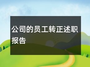公司的員工轉(zhuǎn)正述職報告