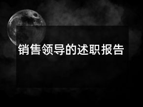 銷售領導的述職報告