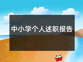 中小學個人述職報告