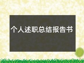 個(gè)人述職總結(jié)報(bào)告書