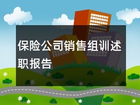 保險公司銷售組訓述職報告