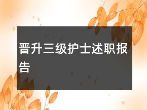 晉升三級(jí)護(hù)士述職報(bào)告