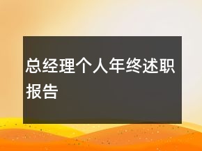 總經(jīng)理個人年終述職報告