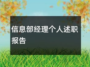 信息部經(jīng)理個人述職報告