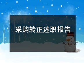 采購轉(zhuǎn)正述職報告