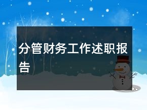 分管財務(wù)工作述職報告