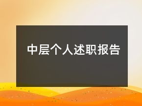 中層個(gè)人述職報(bào)告