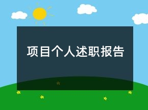 項目個人述職報告