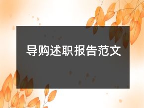 導(dǎo)購(gòu)述職報(bào)告范文