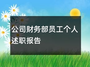 公司財務(wù)部員工個人述職報告